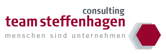 team steffenhagen consulting GmbH Logo